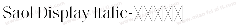Saol Display Italic字体转换